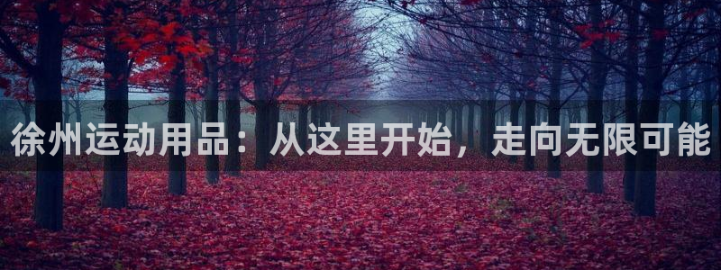 BWIN体育官方正版app娱乐首页官网下载：徐州运动用品：从