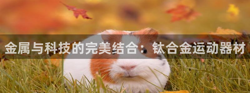 BWIN体育官网下载平台注册流程图：金属与科技的完美结合：钛