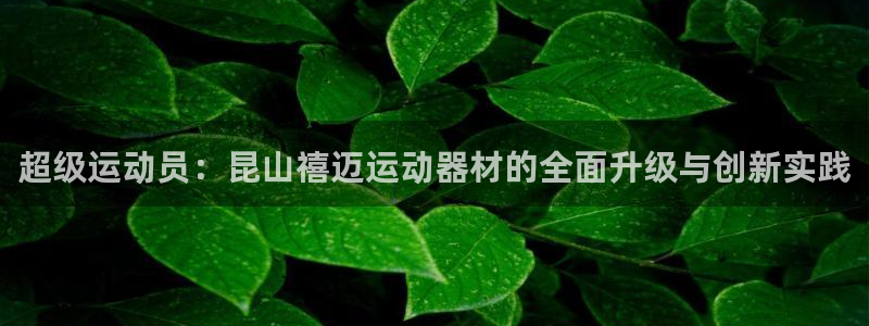 BWIN体育官网下载娱乐：超级运动员：昆山禧迈运动器材的全面