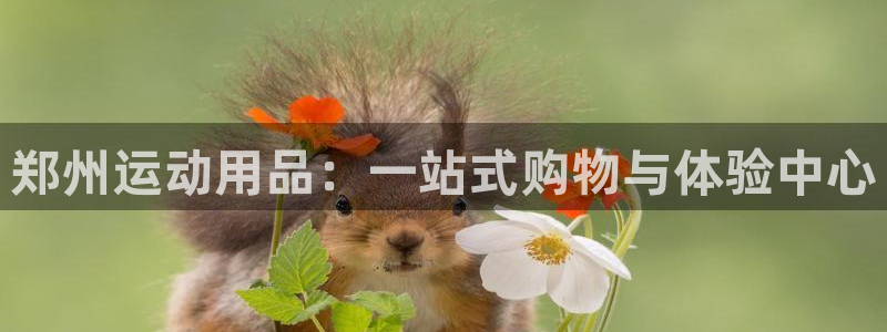 德国BWIN体育官方正版app集团：郑州运动用品：一站式购物