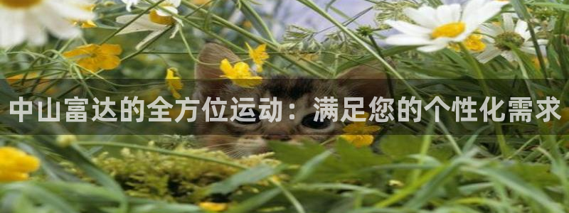 BWIN体育官网下载联系电话：中山富达的全方位运动：满足您的