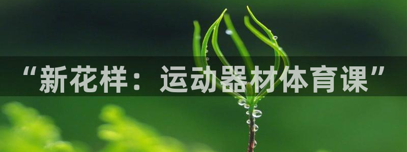 BWIN体育官网下载招商电话号码查询是多少