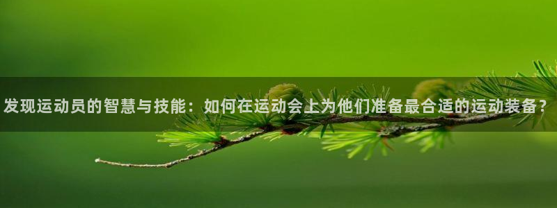 BWIN体育官网下载平台注册：发现运动员的智慧与技能：如何在