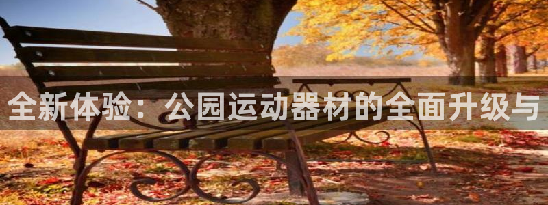 BWIN体育官网下载：全新体验：公园运动器材的全面升级与