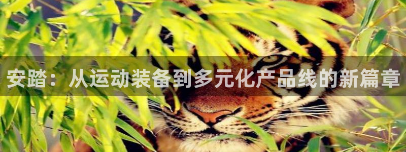 BWIN体育官网下载招商：安踏：从运动装备到多元化产品线的新