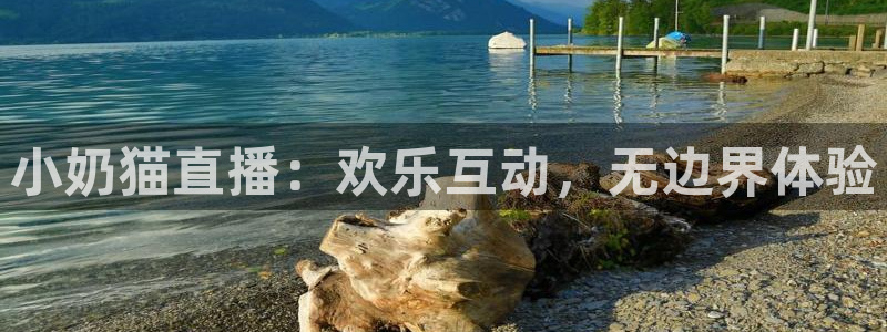 劲爆体育免费直播nba新的好游戏.认证网.org