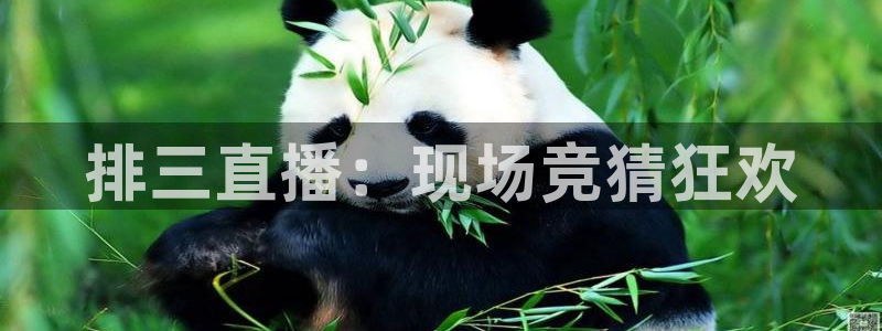 劲爆体育在线直播