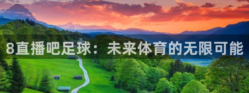 劲爆体育频道在线直播观看：8直播吧足球：未来体育的无限可能