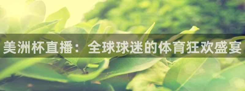 nba劲爆体育在线直播：美洲杯直播：全球球迷的体育狂欢盛宴