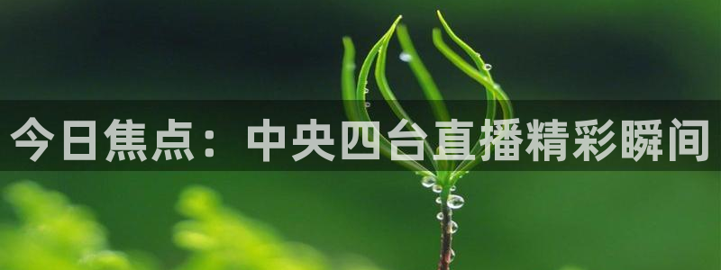 劲爆体育nba直播免费观看：今日焦点：中央四台直播精彩瞬间