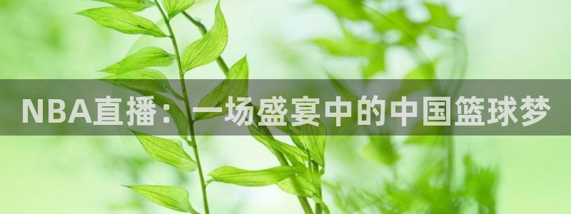 劲爆nba直播：NBA直播：一场盛宴中的中国篮球梦
