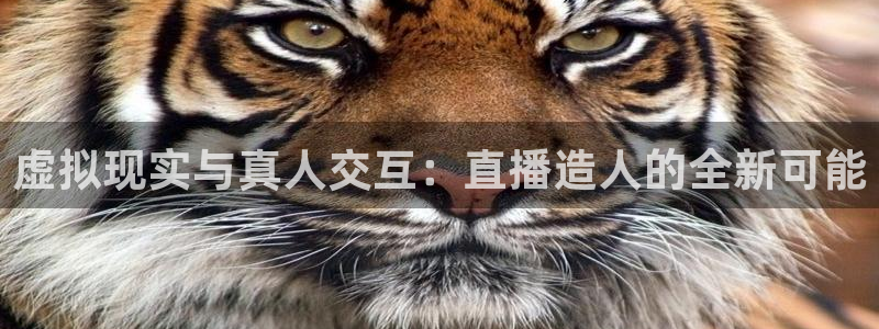 劲爆体育直播免费看：虚拟现实与真人交互：直播造人的全新可能