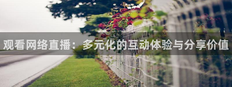 劲爆体育直播免费观看：观看网络直播：多元化的互动体验与分享价值
